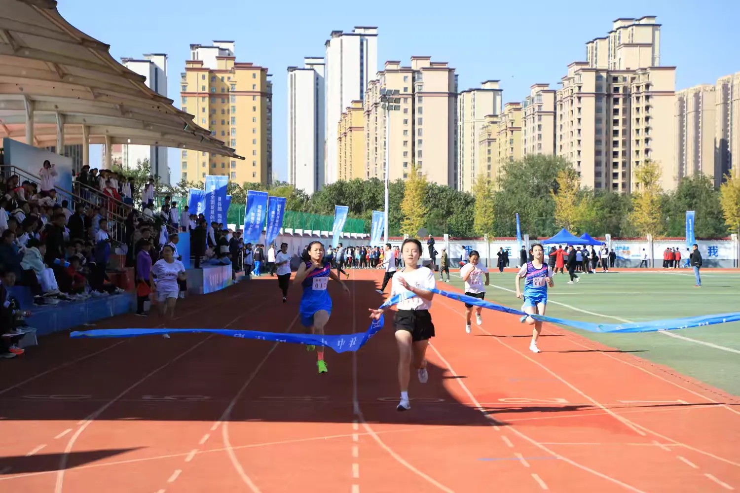 20241023164556356-59-62488.jpg